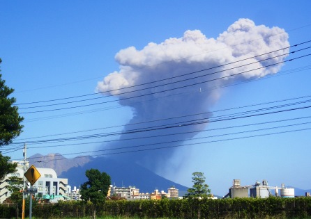 鹿児島ならでは・・・。m(__)m
