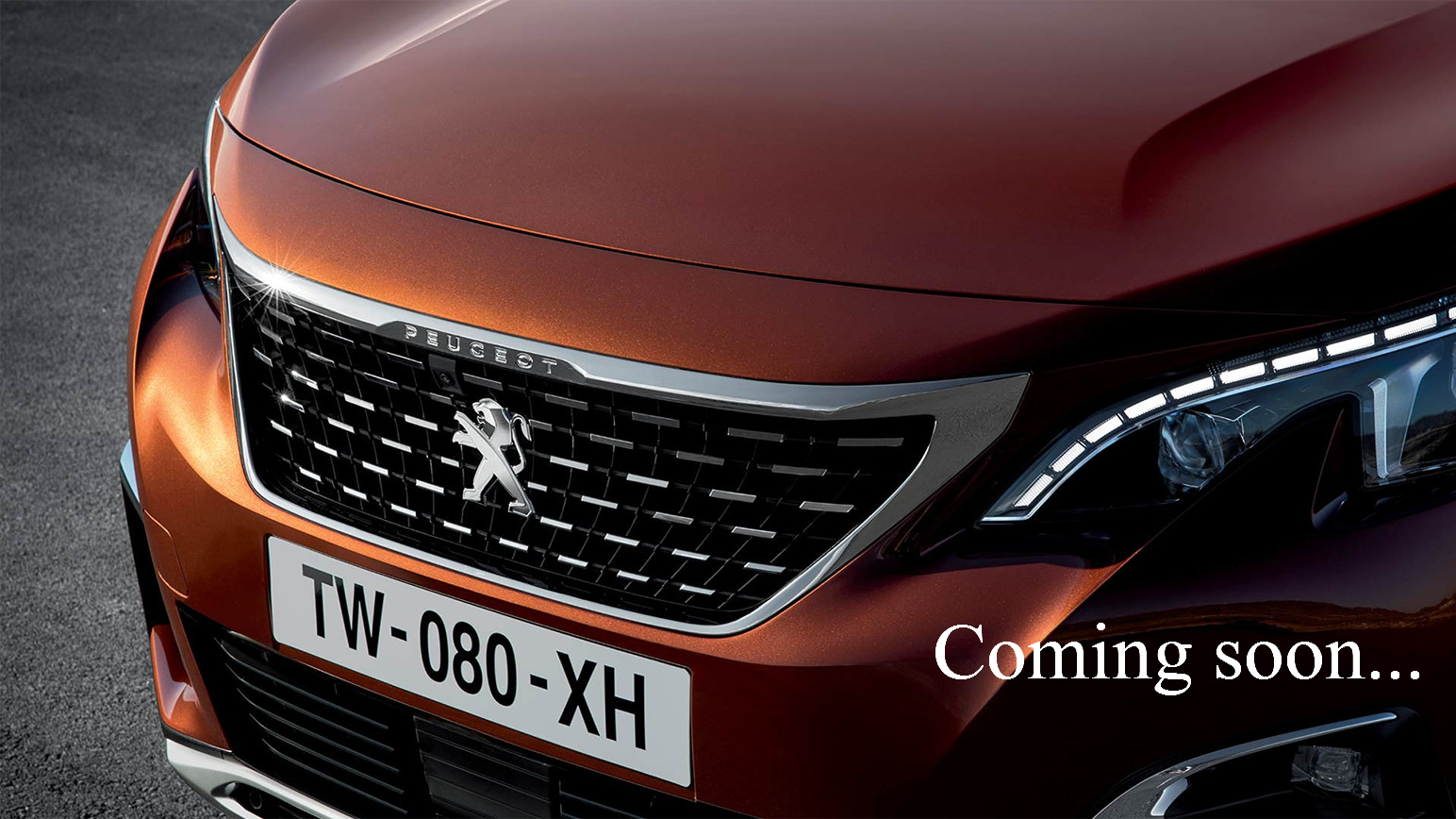 ☆　NEW　 3008　☆ 