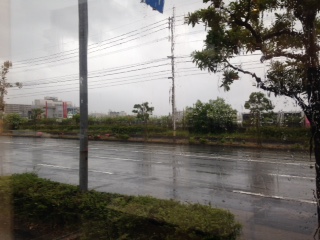 久しぶりの雨