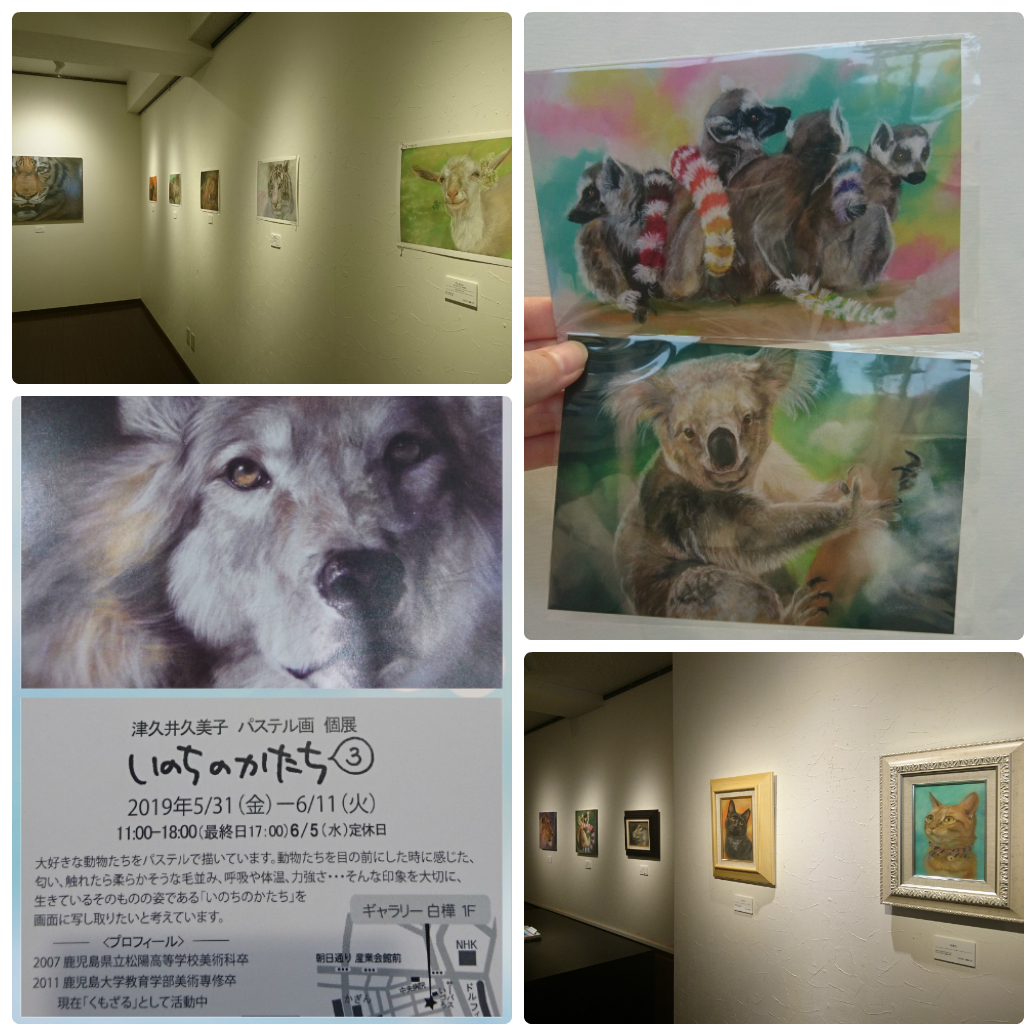 津久井久美子さん　パステル画 個展に行ってきました