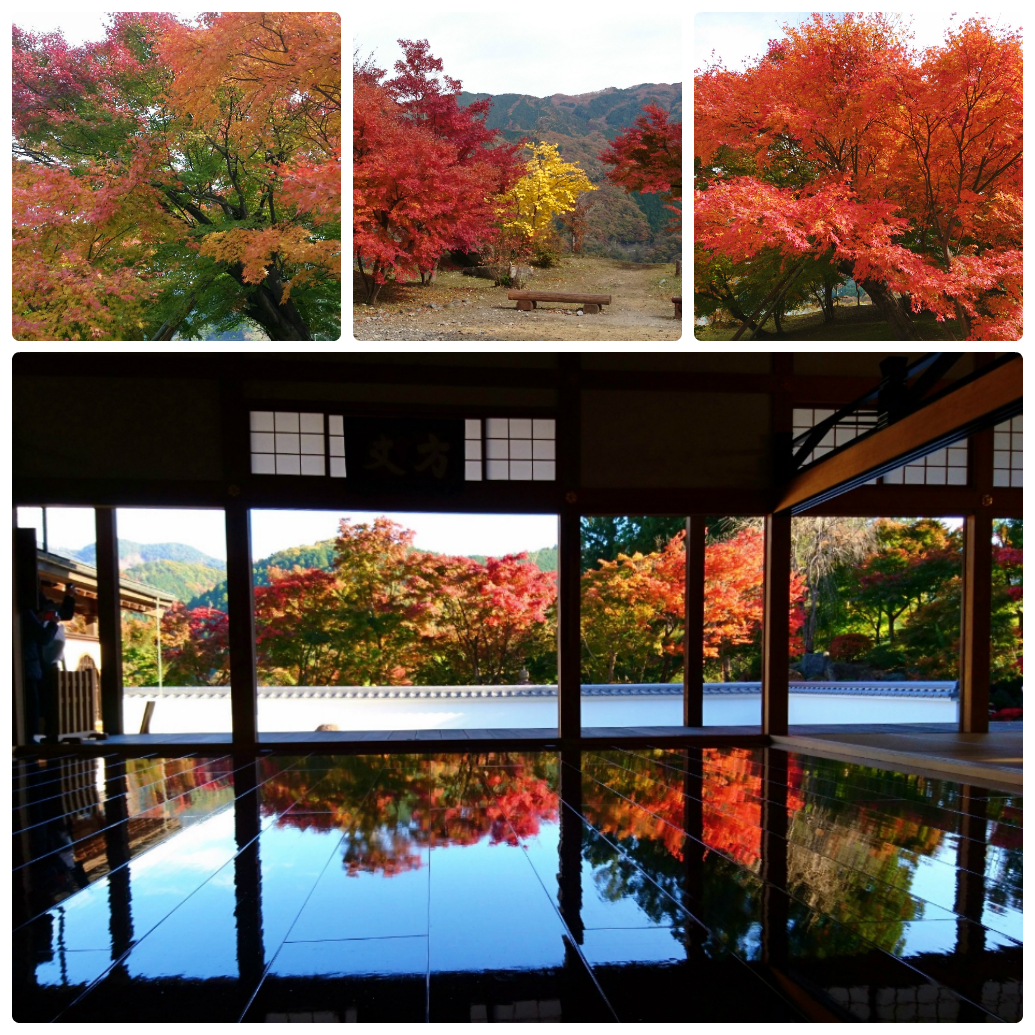 紅葉狩り♪
