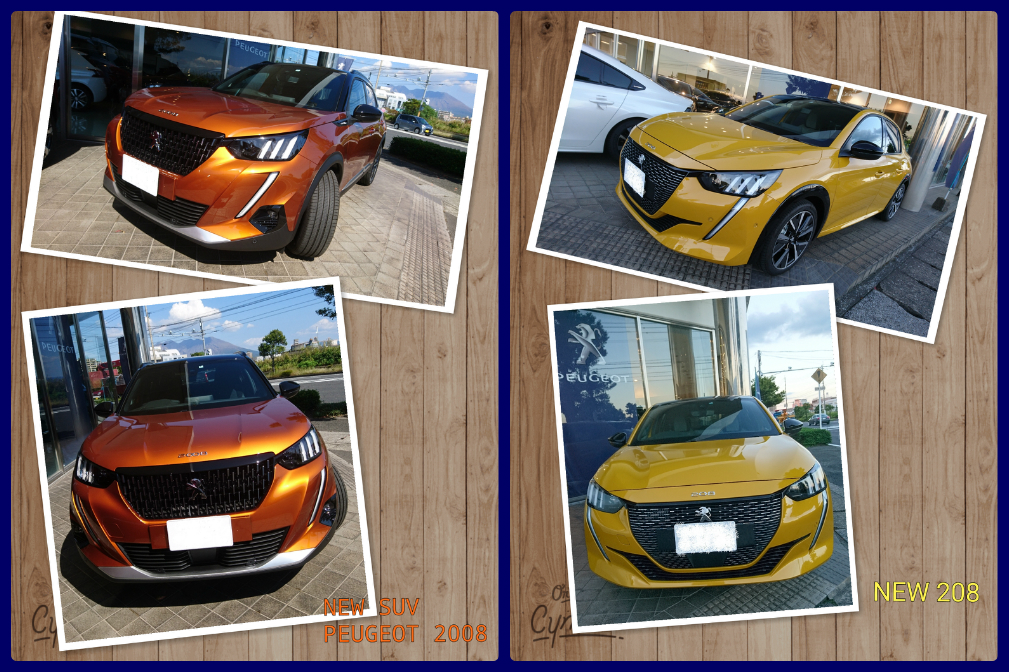 【NEW SUV 2008】あなたはどっち派！？【NEW 208】