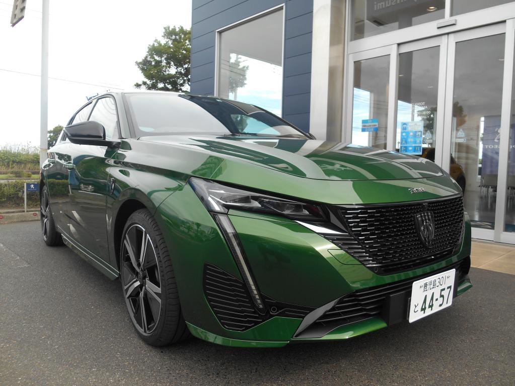 新型308　オリビン・グリーン到着しました🚙✨