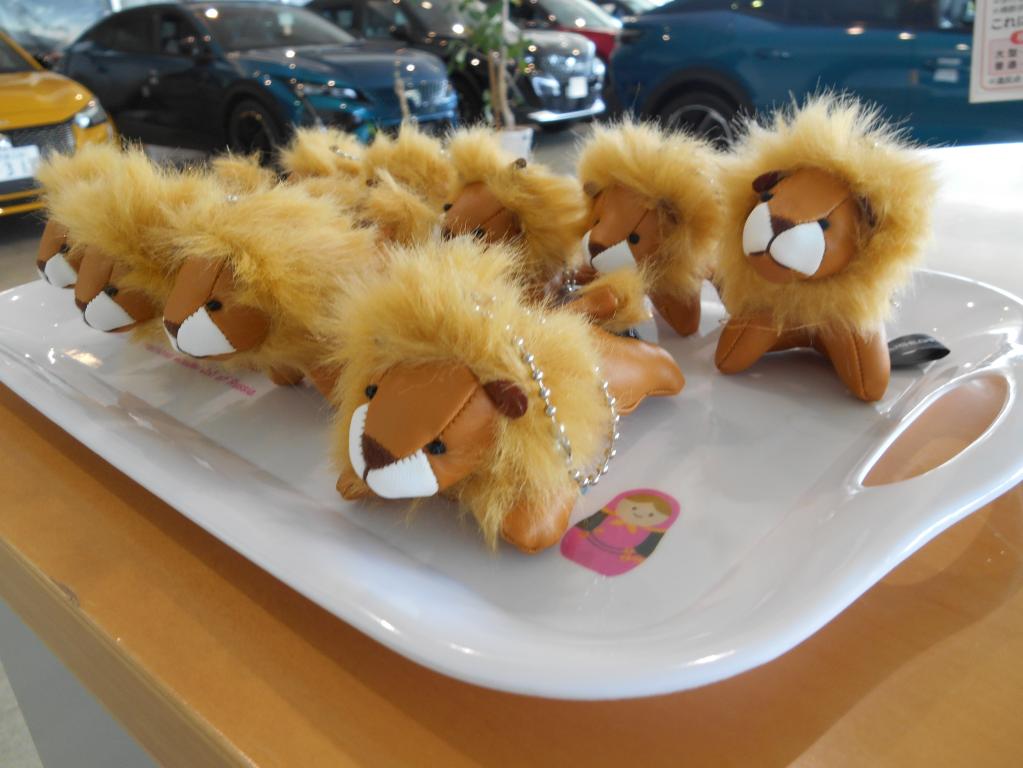 LITTLE LIONフェア☆