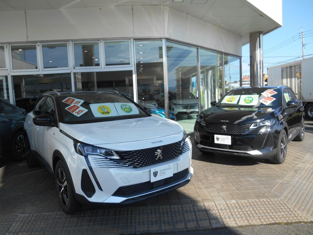 新春初売りフェア開催